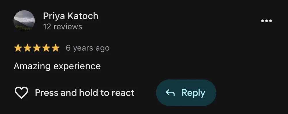 Real Google review from a Musicphonetics parent or student